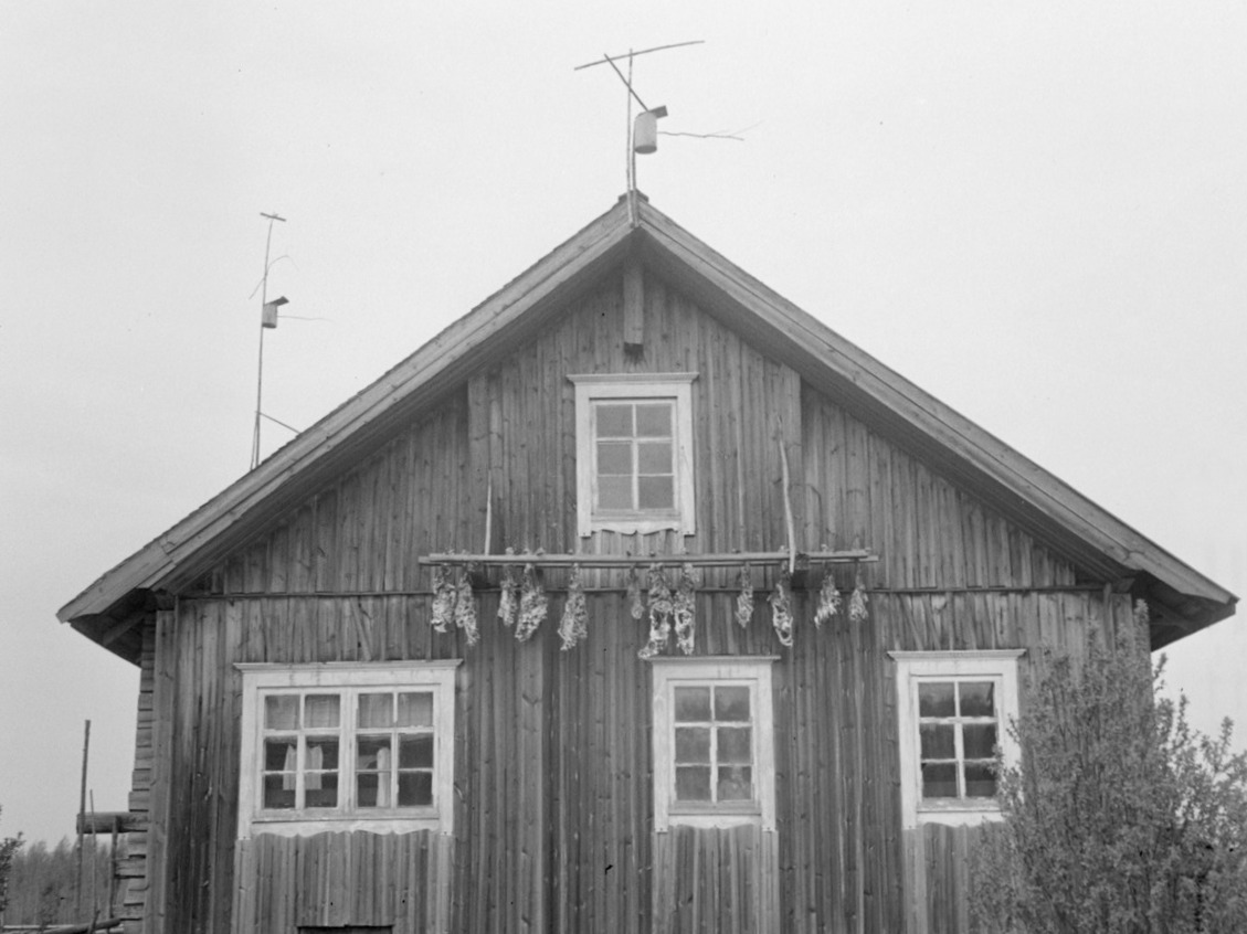 Rakennuksen päädyssä roikkuu lihaa ulkoseinustalla.